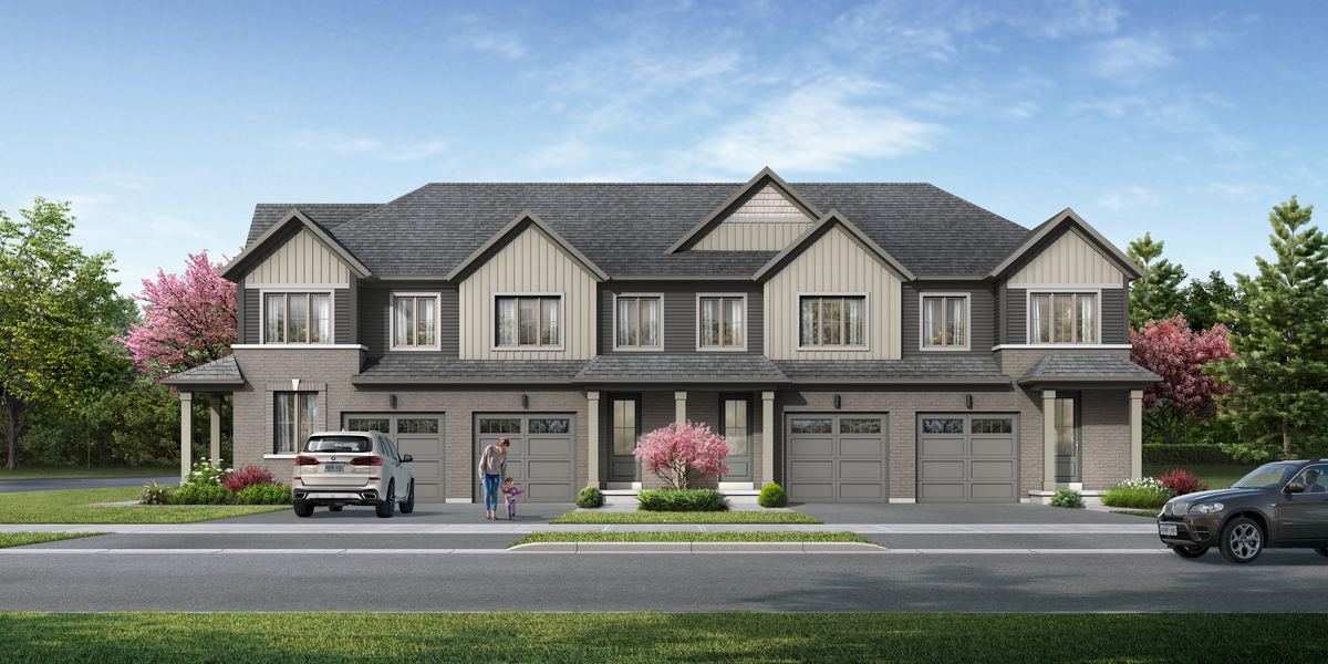 Mountain Maple - elevation A